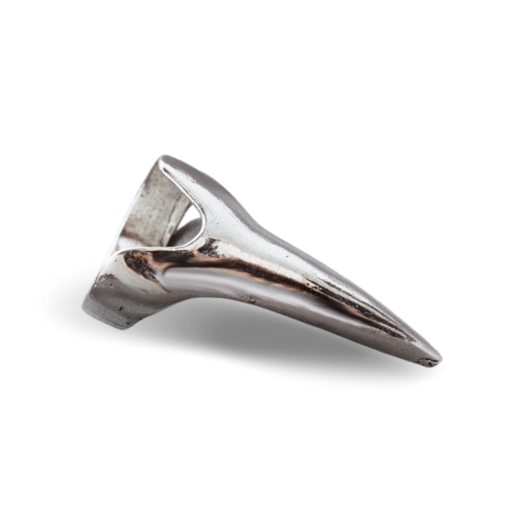 Bague Griffe Gothique
